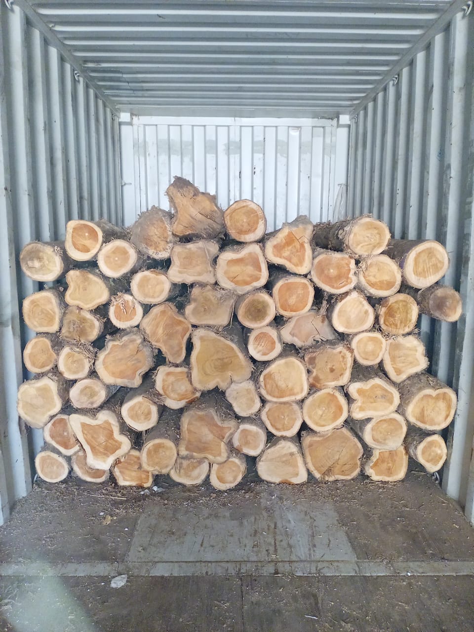 Panama Lumber Export